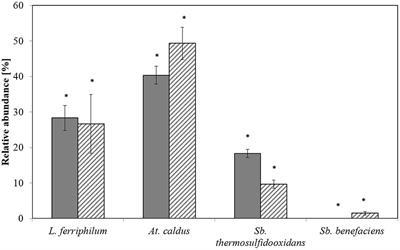 Quantitative Monitoring of Microbial Species during Bioleaching of a Copper Concentrate